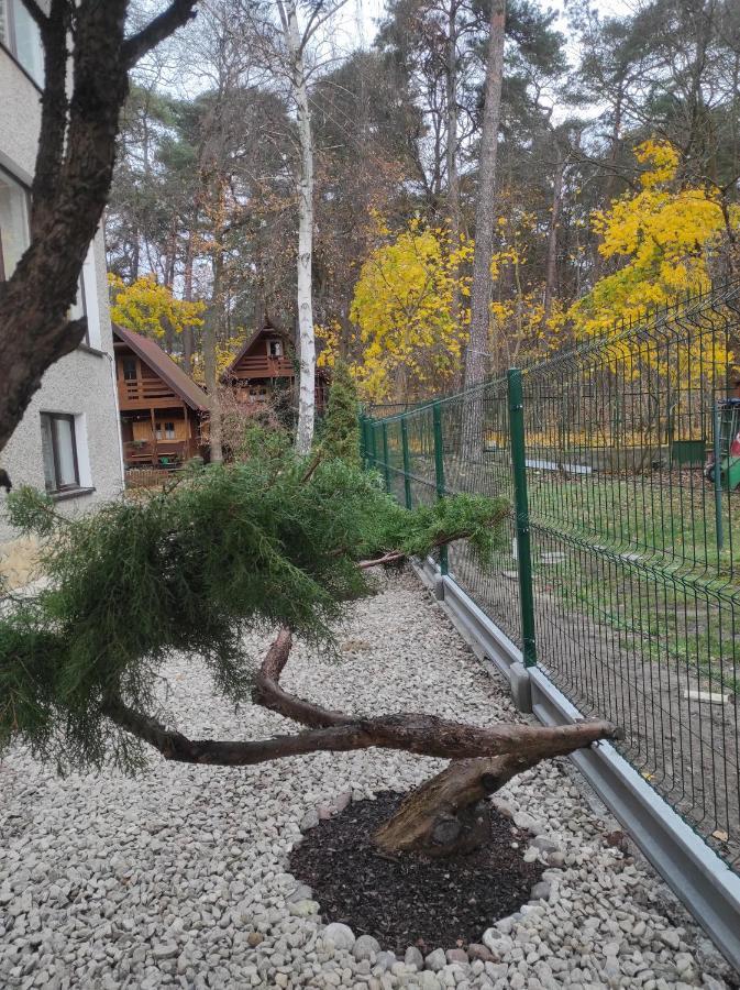 Chatki Saturnina I Pokoje Swinoujscie Dış mekan fotoğraf