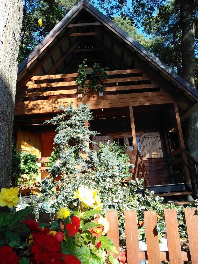 Chatki Saturnina I Pokoje Swinoujscie Dış mekan fotoğraf